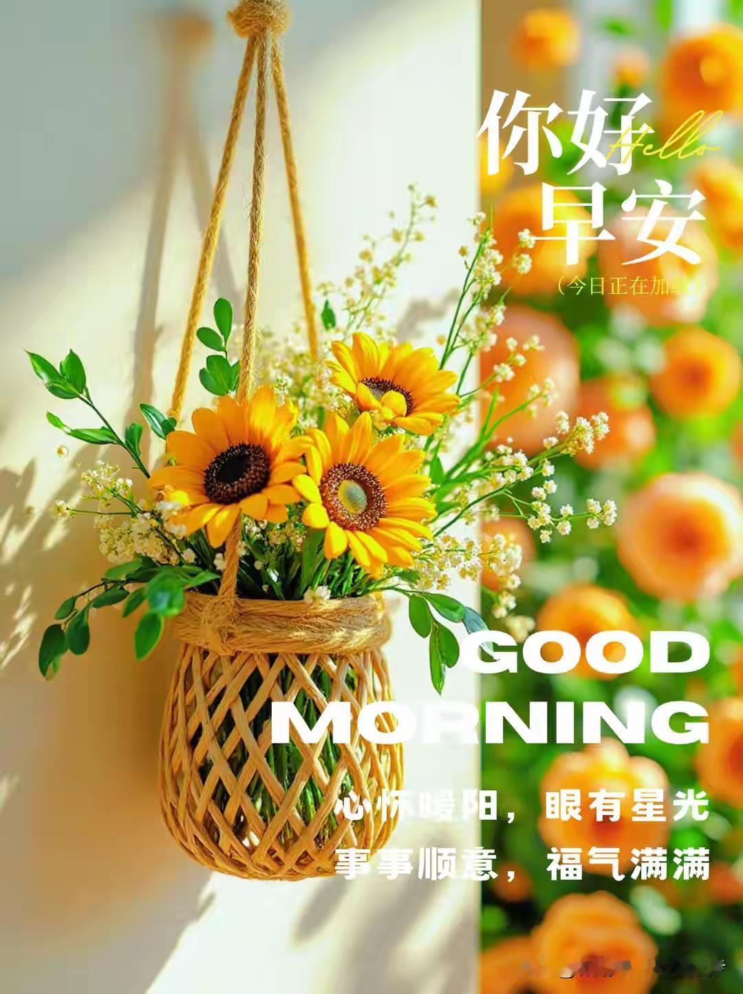 早安呀！新的一天就像一幅崭新的画卷，等着我们去描绘。阳光洒在身上，那是大自然最温