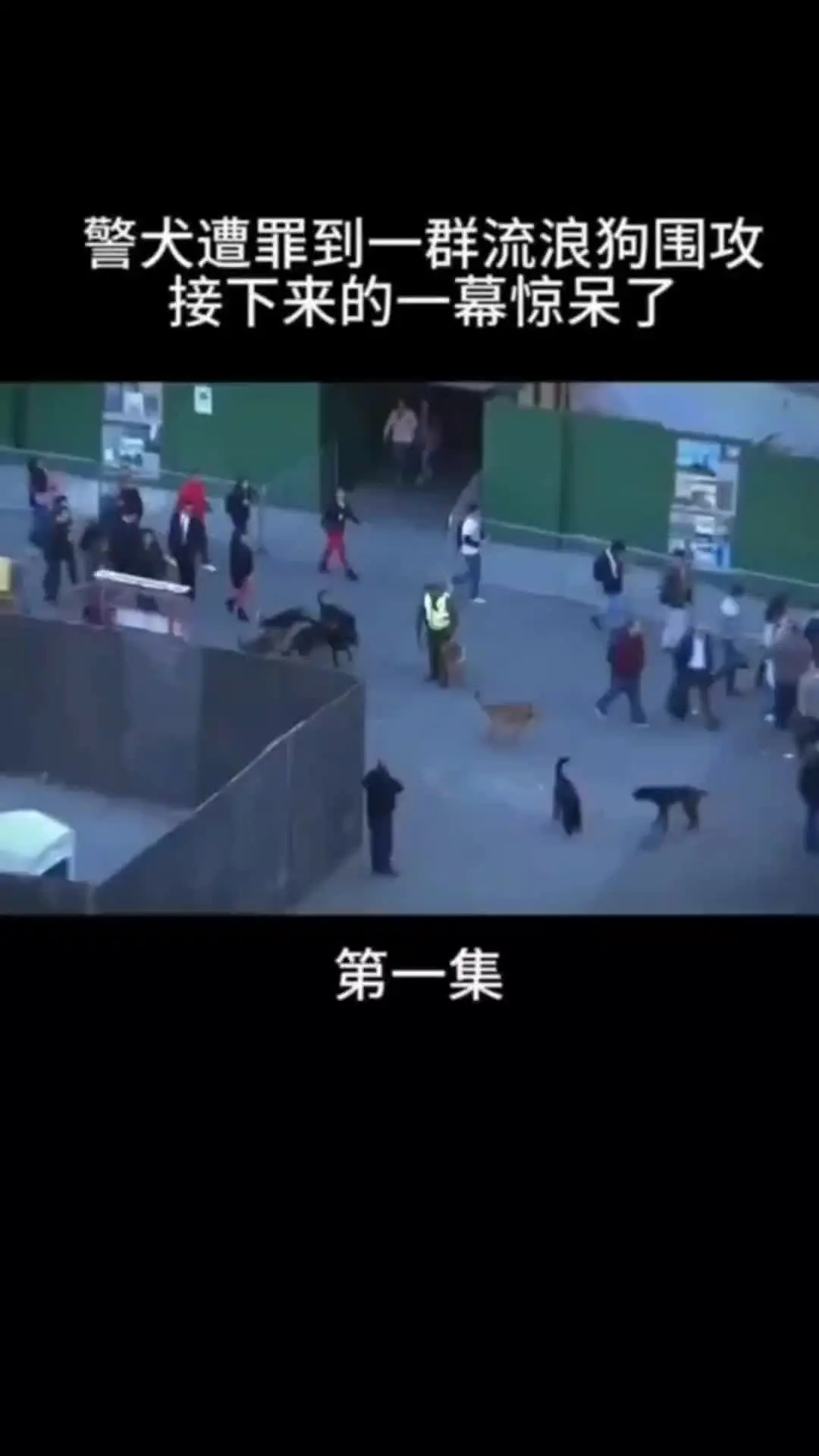 我的观影报告 内容启发搜索