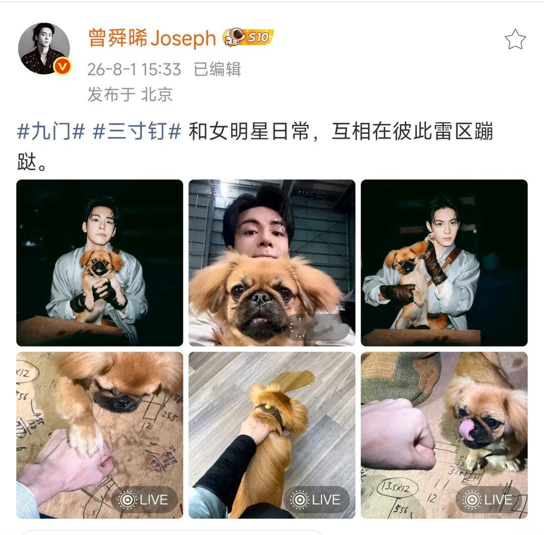 曾舜晞和三寸钉互相在雷区蹦跶在线爆料三寸钉，一人一狗相爱相杀模式上线，不断在对方