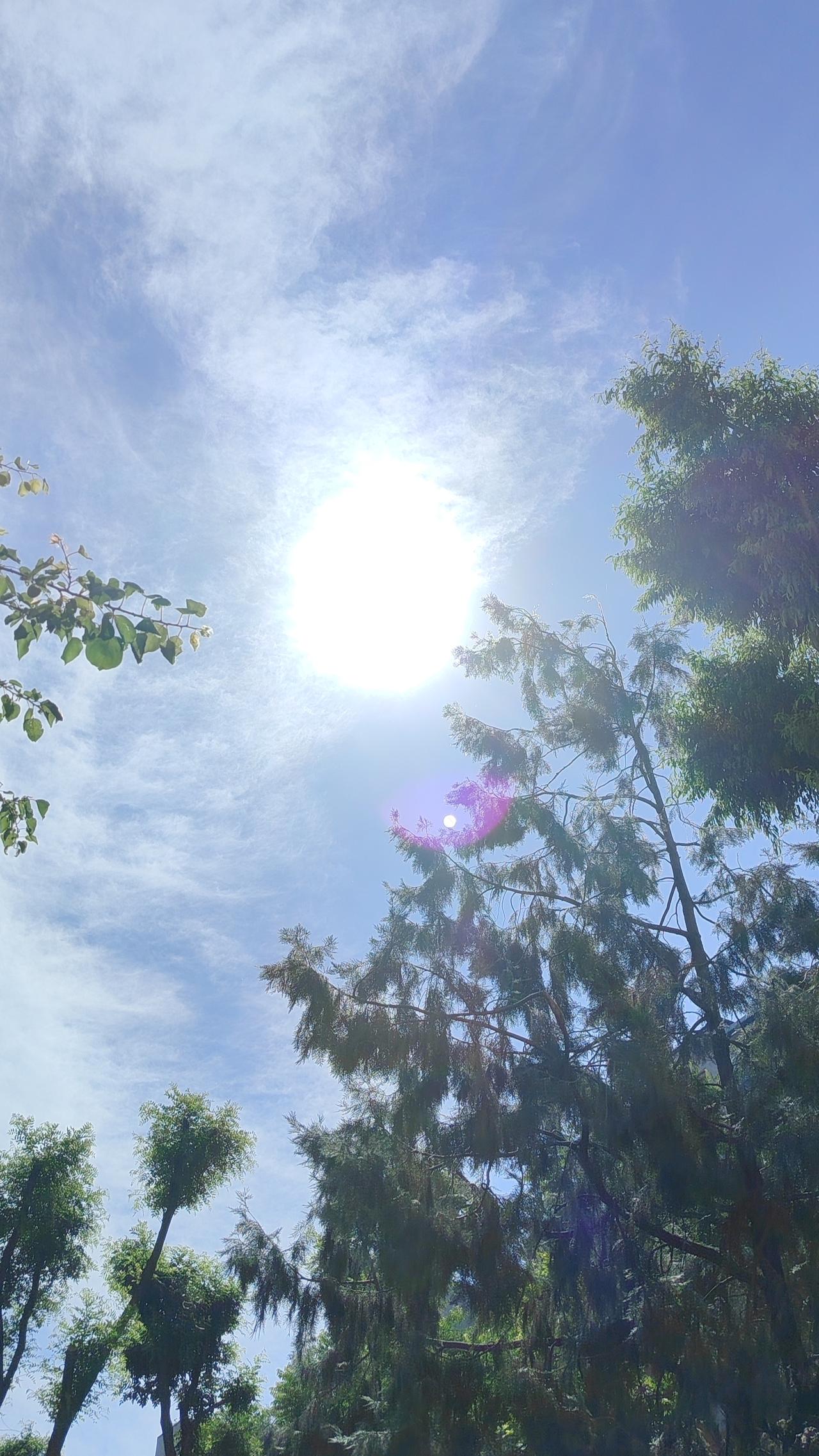 藏器于身•守株待兔：在偶然的运气外，磨砺必然的锋芒
在这个充满不确定性的世界里，