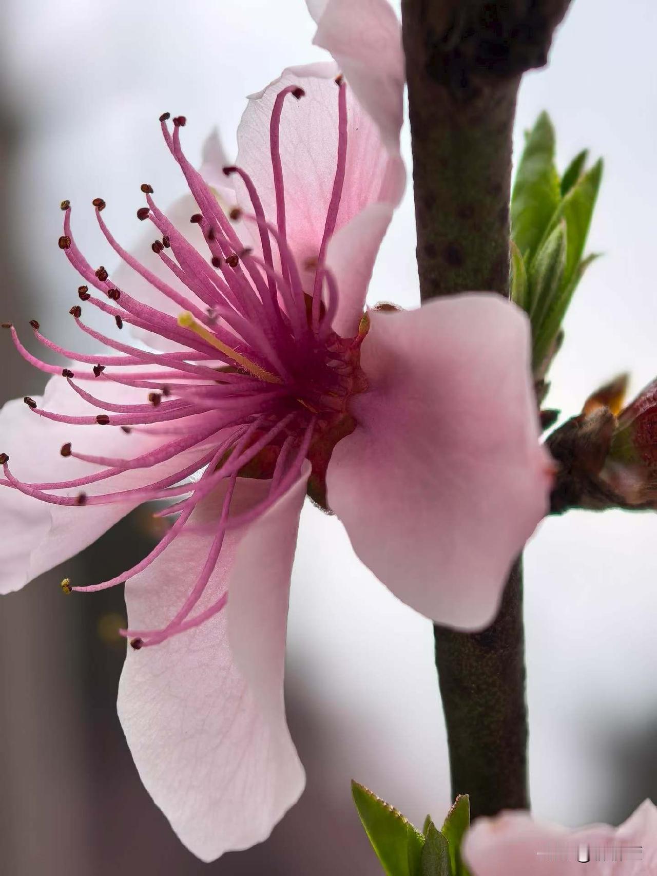 男人走下坡路的9大表现：
 1、一天到晚就想着和女人床上的那点事 
2、熬夜到很