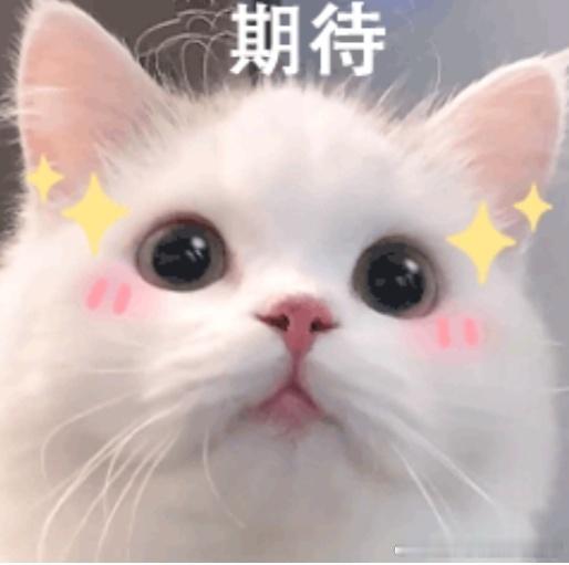 小红书为何要拿下世界杯版权惊喜来袭，小红书拿下世界杯版权！赛事精彩片段、球评内容
