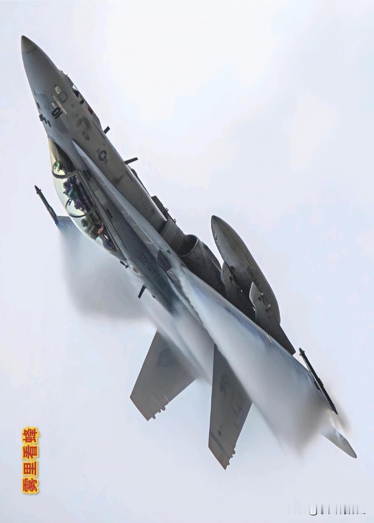 雾里看蜂
2015年10月，密拉马海军陆战队航空站开放日上，F/A-18D(RC