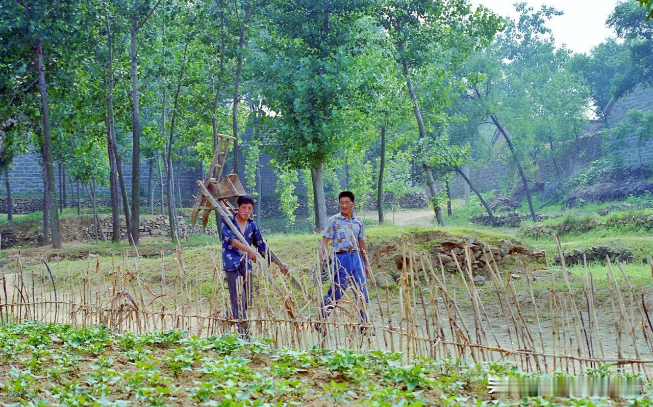 临沂记忆。1998年在平邑县庞庄乡史家小庵村拍的，这两位老乡不知道还在家务农还是