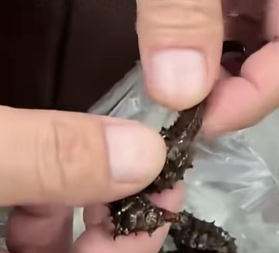 “被骗了，全部都是塑料的！”
男子买塑料海马泡酒10年后才发现
广东，男子老爸花