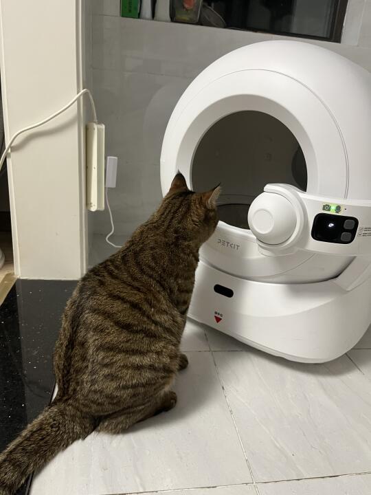 每次上厕所之前都要先对着厕所酝酿一下史意