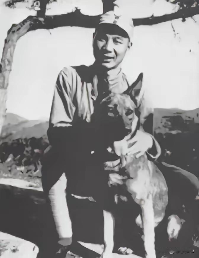 1939年真实趣事！八路军缴获日军狼犬，为何最后坚决送走？
 
1939年秋，部