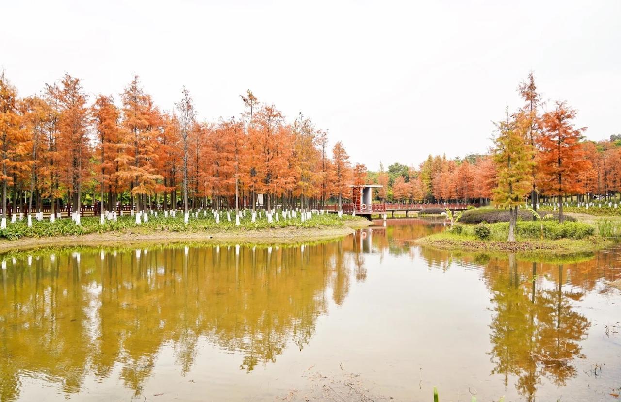 人到中年，才懂“闭嘴”是顶级的智慧

昨天同学聚会，老周喝多了，当着所有人的面吐