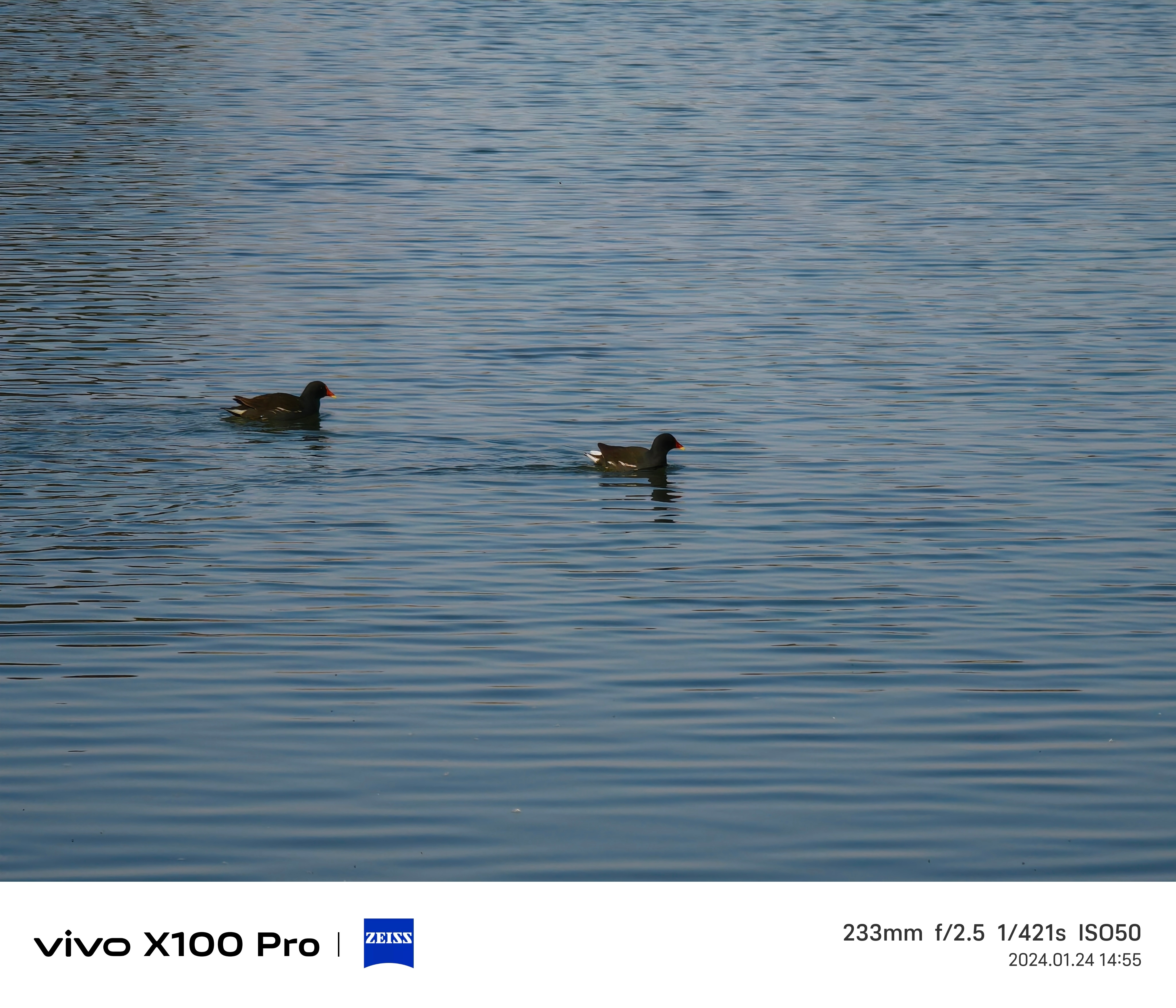 分享一下这几月走街串巷用vivo X100 Pro记录的照片📷 ​​​