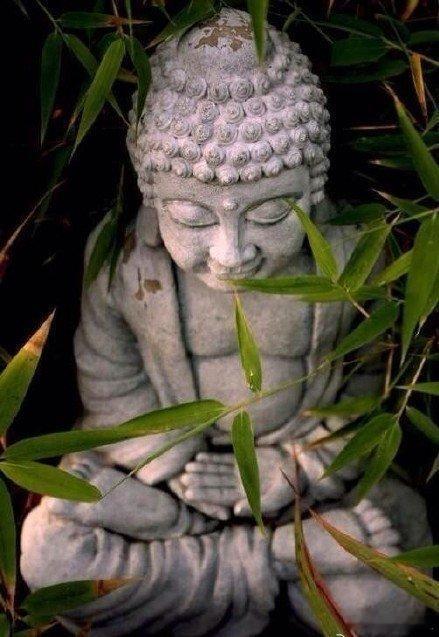 见佛转发，好运常在！ ~ 