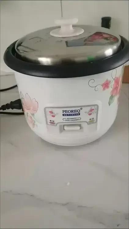 给婆婆家买了个电饭煲，被人笑话了！

俺婆婆家电饭煲坏了，让我给她买一个。我就在