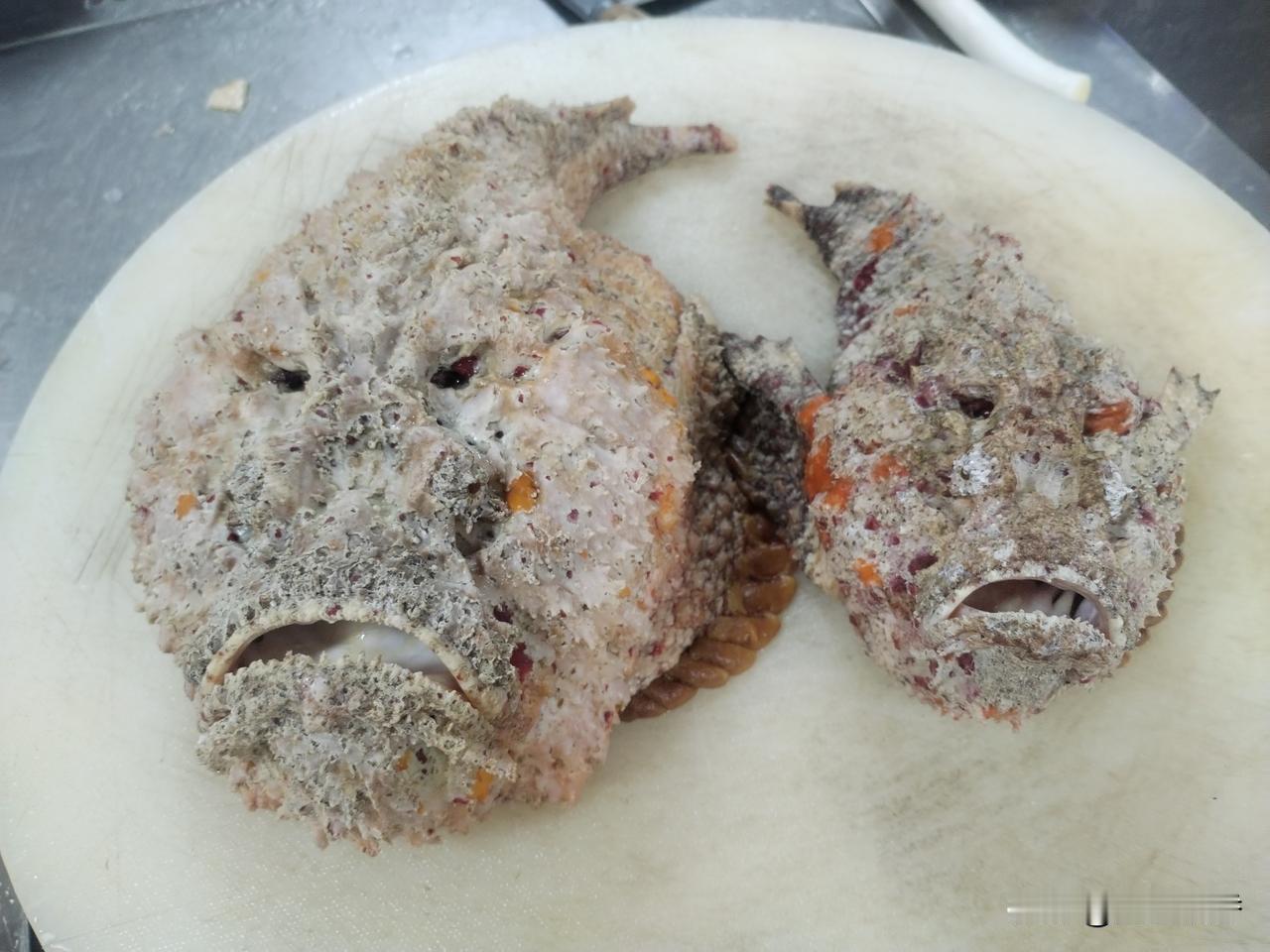 石头鱼，西沙群岛特有海产，清蒸肉鲜嫩滑，背上刺有毒，清洗时要小心。