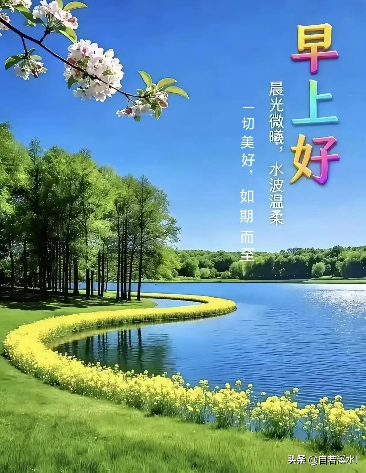 晨光浅浅，湖水悠悠，心怀温柔，日日皆有欢喜。