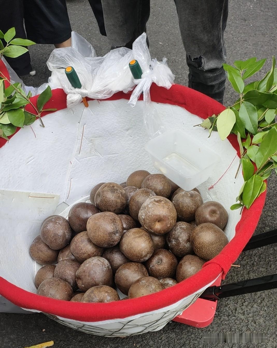 昨天有好几位网友问我:蚊子你不是说你侄儿在啃老吗？怎么又变成大学辅导员了？
  