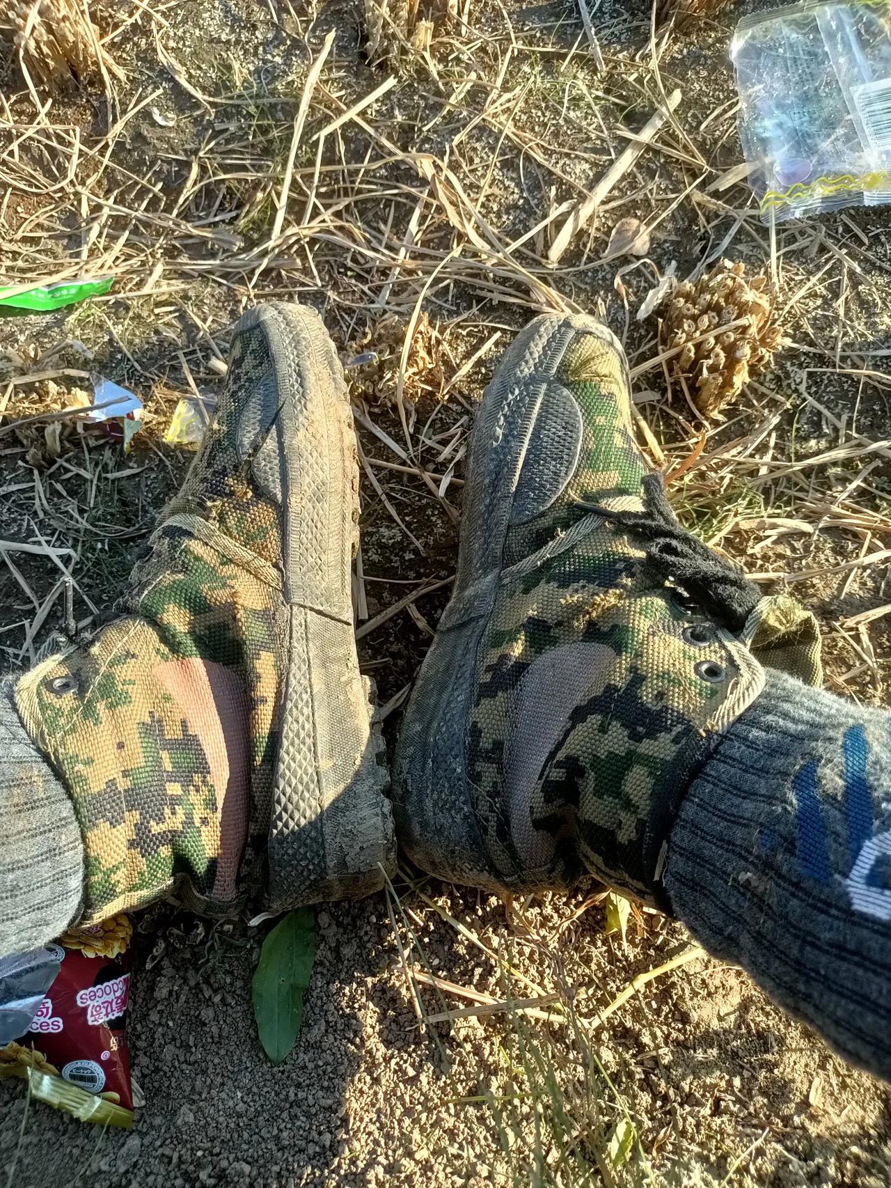 分享城市新鲜事人工收割水稻进行中