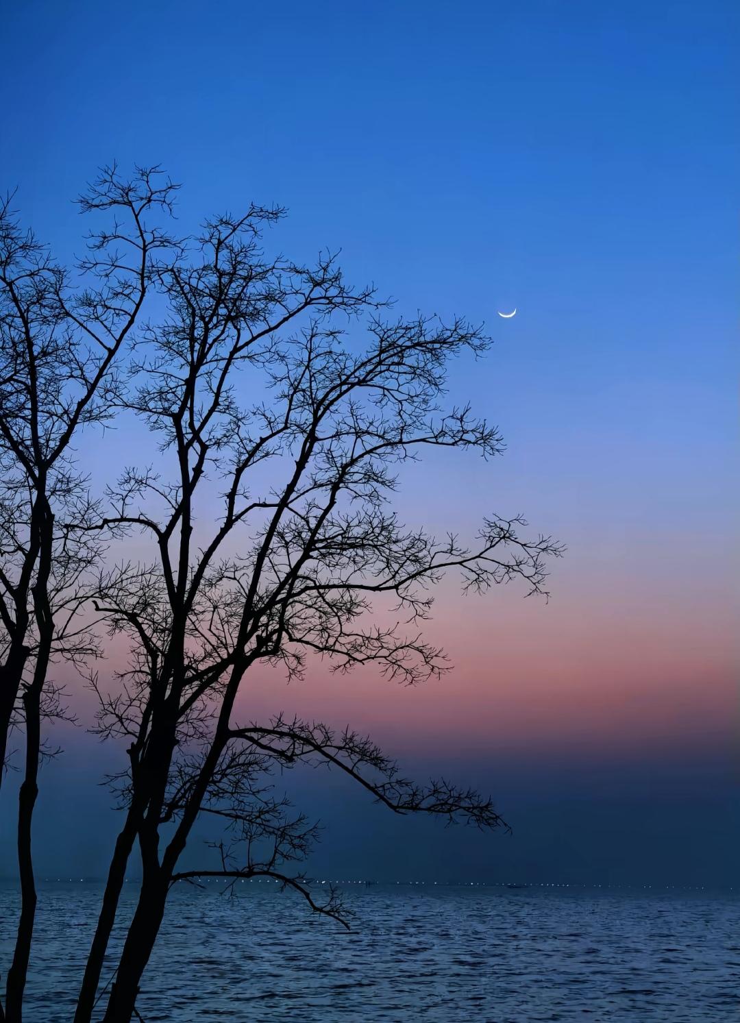 分享一张最近随手拍的照片