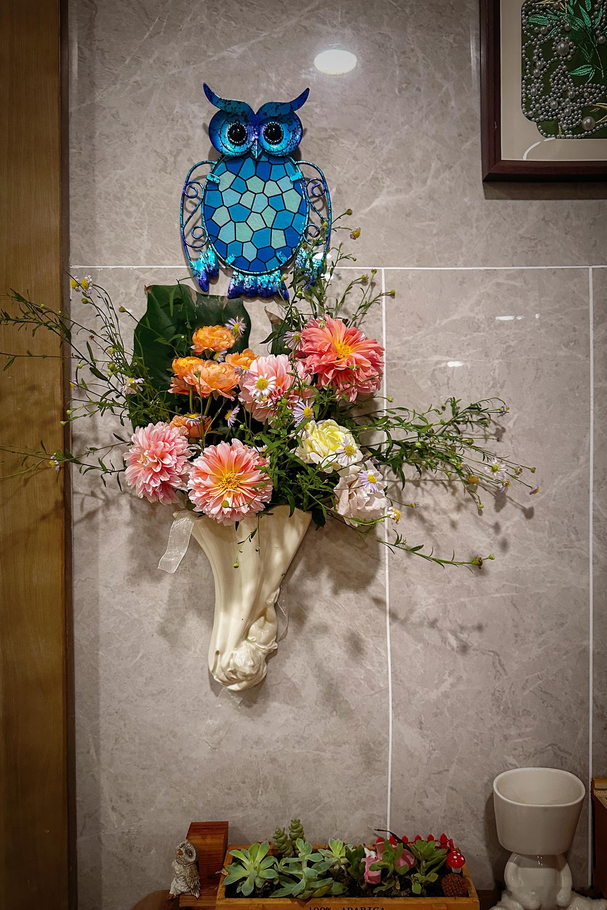 秋风起，酷暑褪去，院子里的花儿又开始有产量，必须给门厅安排上[嘻嘻]植物[超话]