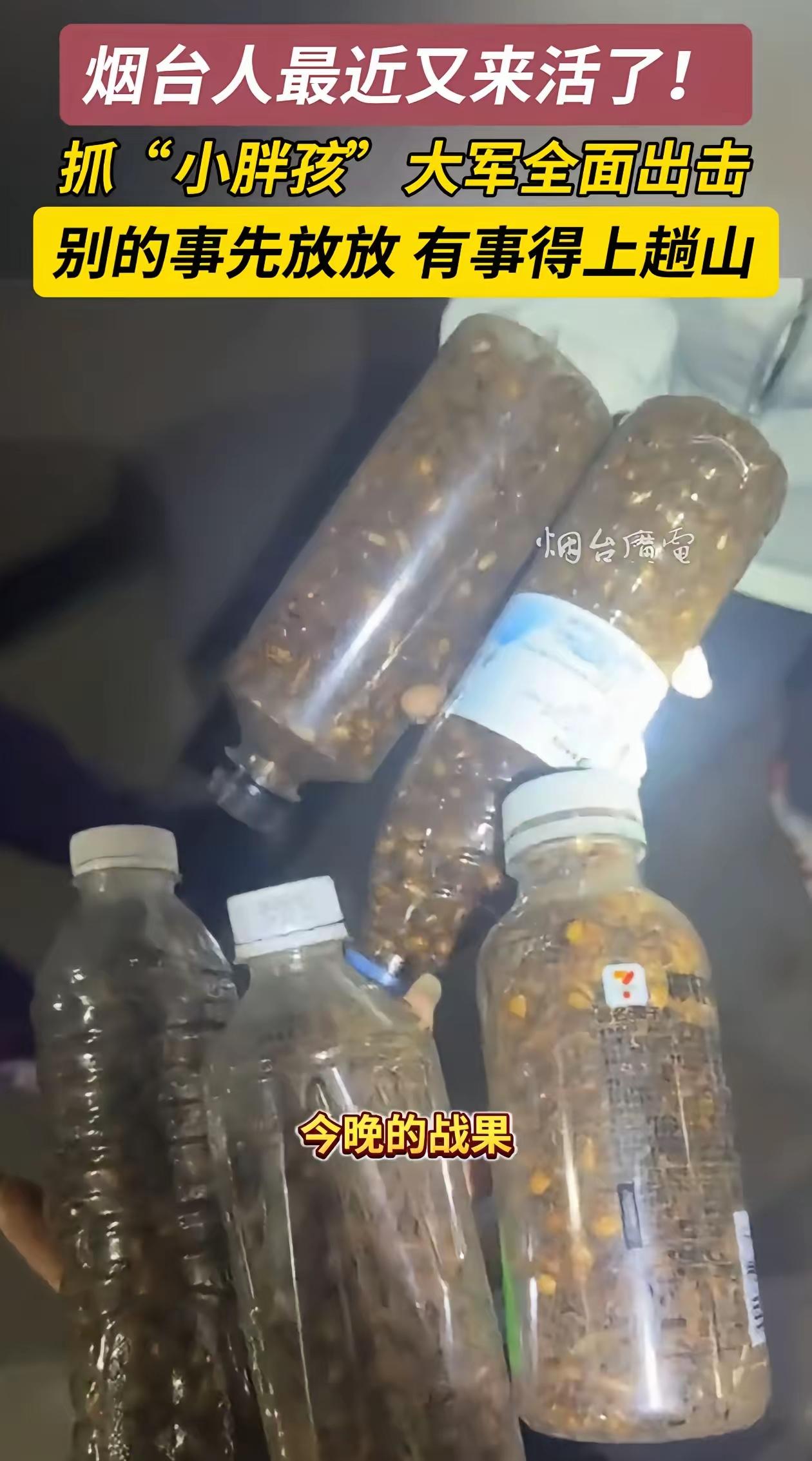 不服不行！山东烟台，不少人把车开到山脚，还带了一堆工具，也不上山，就在那等天黑，