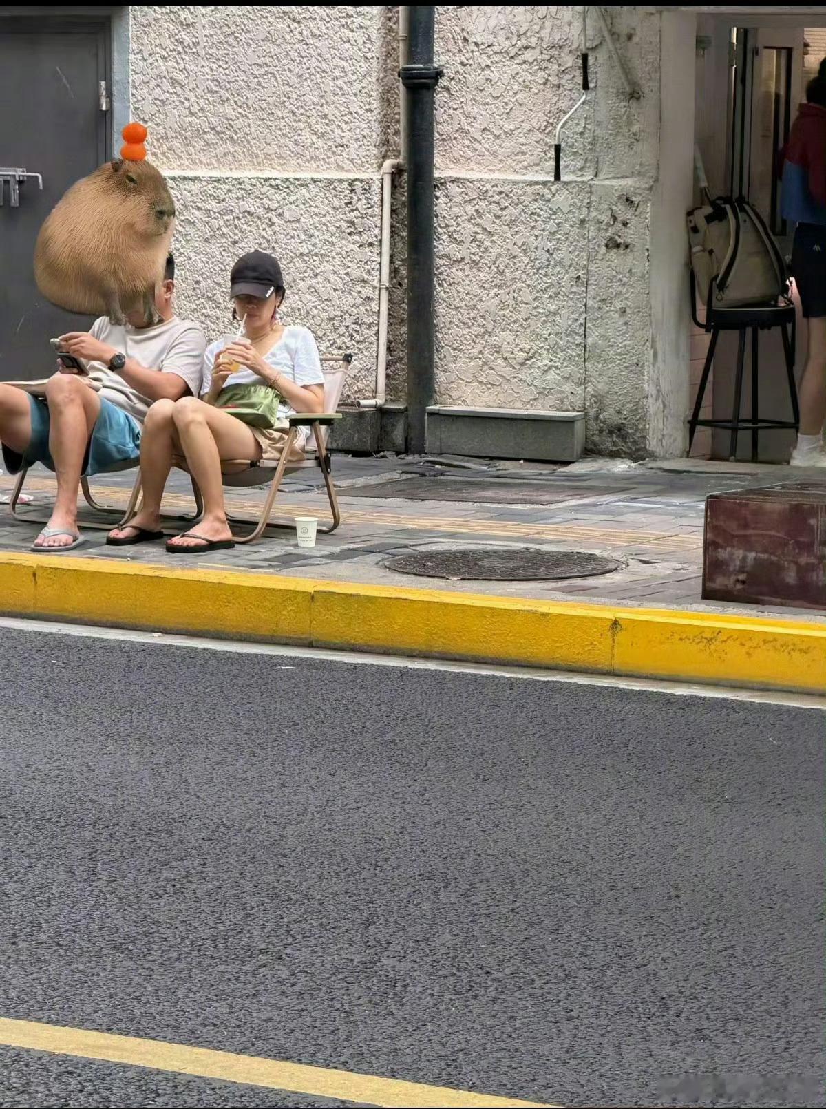 疑似马伊琍恋情如果是真的就太好了，我们子君终于也要幸福了，也是到年纪了，要多注重