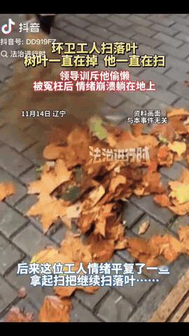 “太让人心酸了！”辽宁，一环卫工人在扫落叶时，结果树叶一直掉，他一直扫。领导训斥