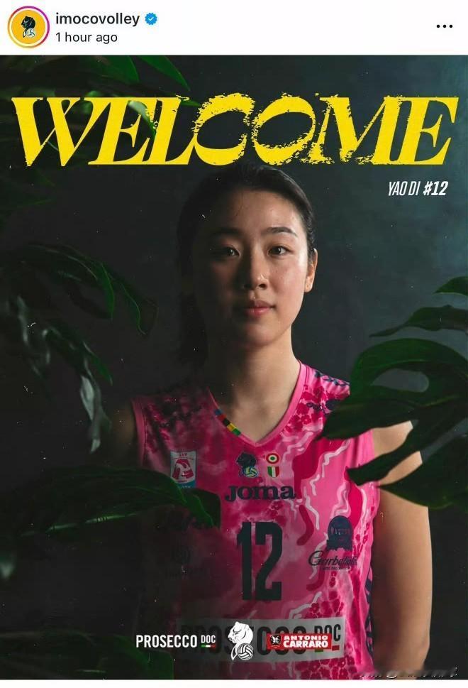 意料之中又在意料之外。
科内官宣姚笛加盟，也粉碎了那些造谣的自媒体。
原本我以为