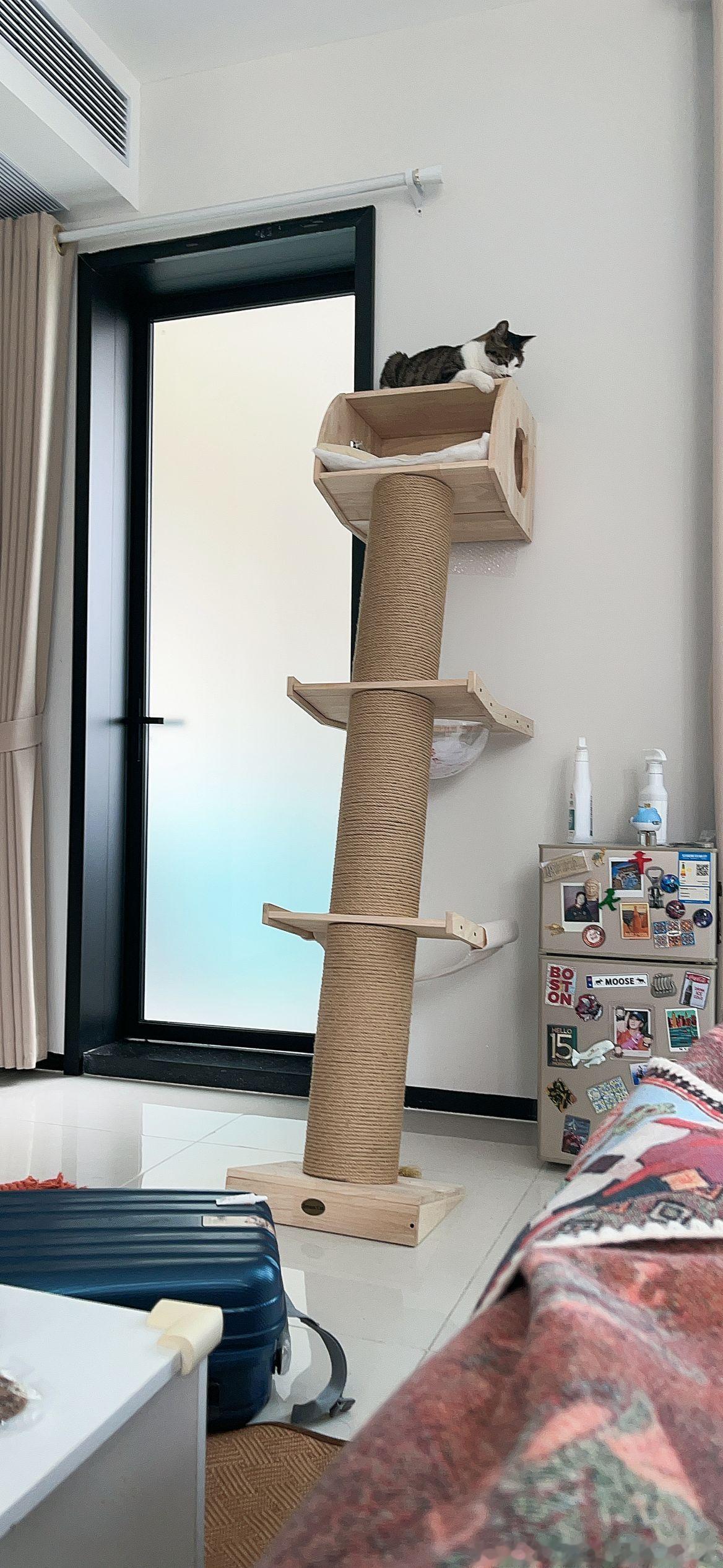 妹妹发现了最高点！！ 