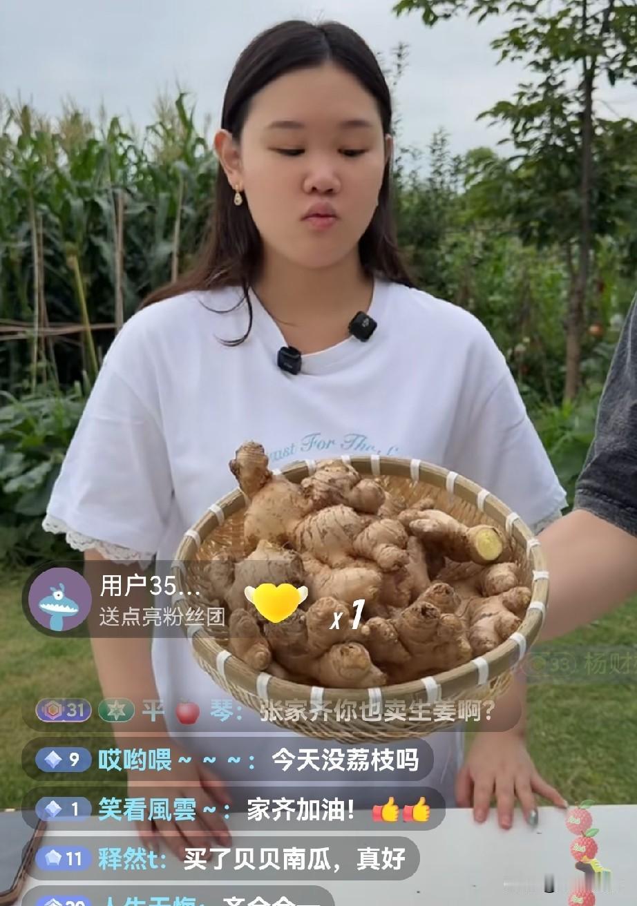 这次没有全进华，小金豆自己直播的，张家齐结束果园的直播，又开始直播菜品了，直播间