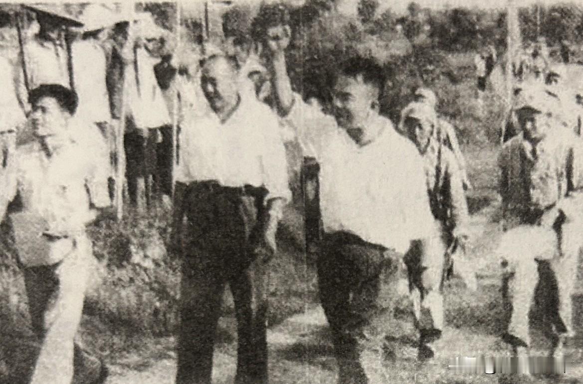 1951年8月，时任湖北军区司令员的王树声大将，肩负中央重托，以“中央人民政府南