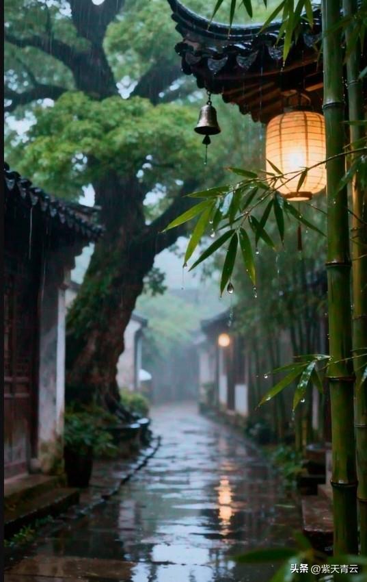 人活到一定时候，
会慢慢听懂沉默。
从前总爱追问，
为什么是我，
为什么偏偏是这