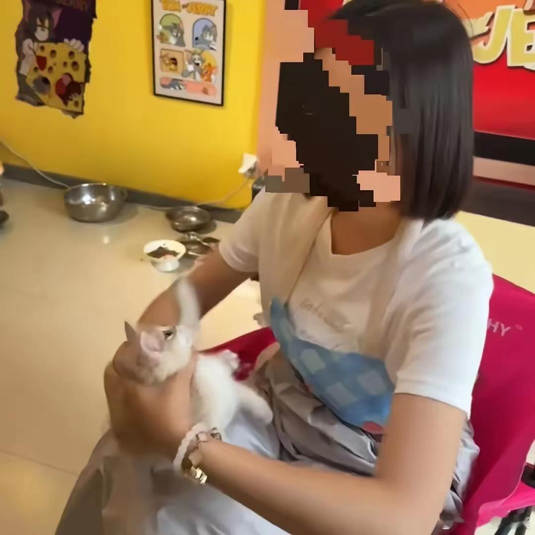 这下虐猫女该哭了。​之前还担心因为没有《反虐待动物法》，虐猫女能逃脱法律的制裁。
