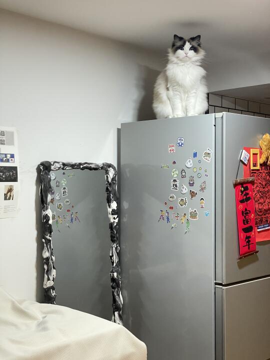 各位EE猜猜 我是从哪跳上来的