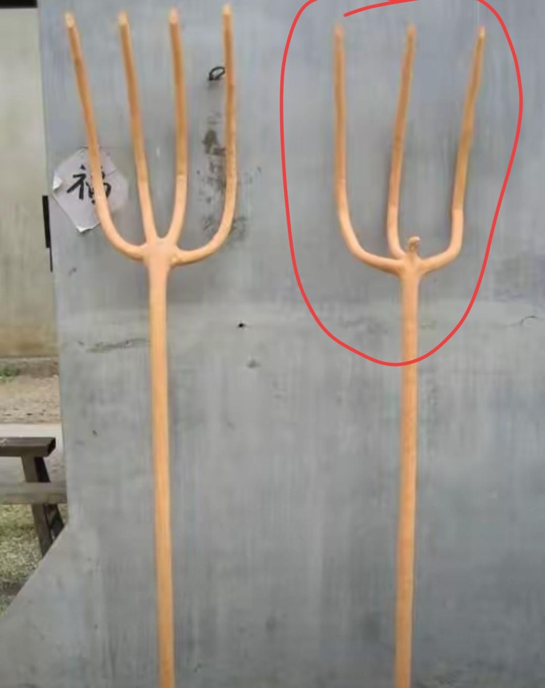 两把耙子靠在墙边，为什么一个三齿一个四齿呢？有什么区别吗？农村工具干什么用的呢？