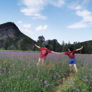 北漂带娃姥姥手记