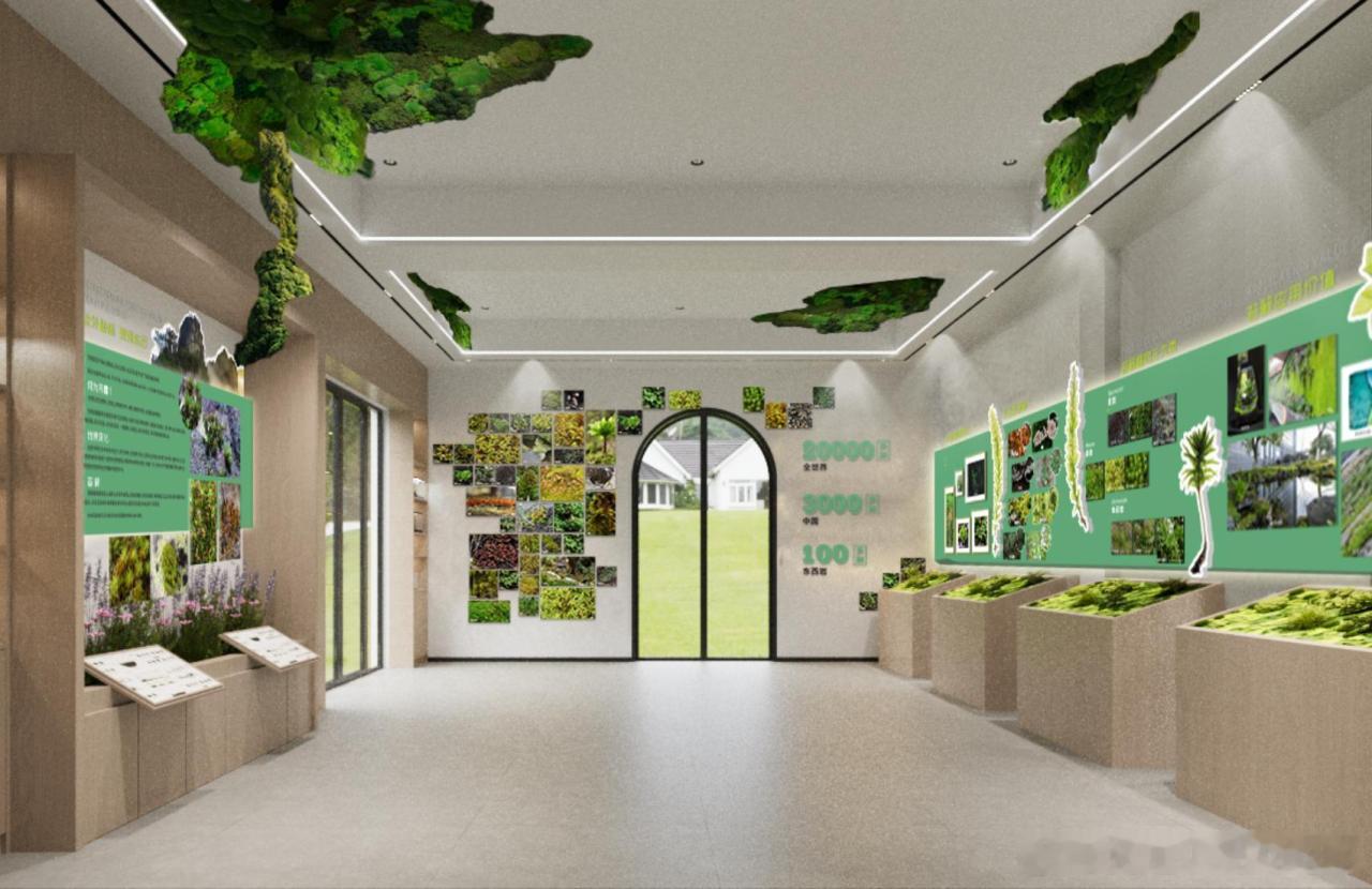 全国首个4A级景区范围内的苔藓科普基地东西岩苔藓课堂东西岩景区地处瓯江支流虎迹溪