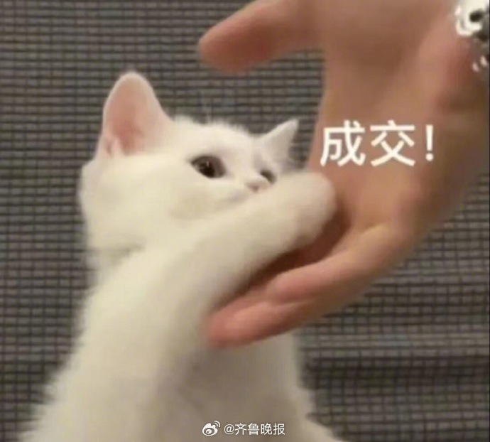 保持快乐，好运会被吸引来的。#晚安#