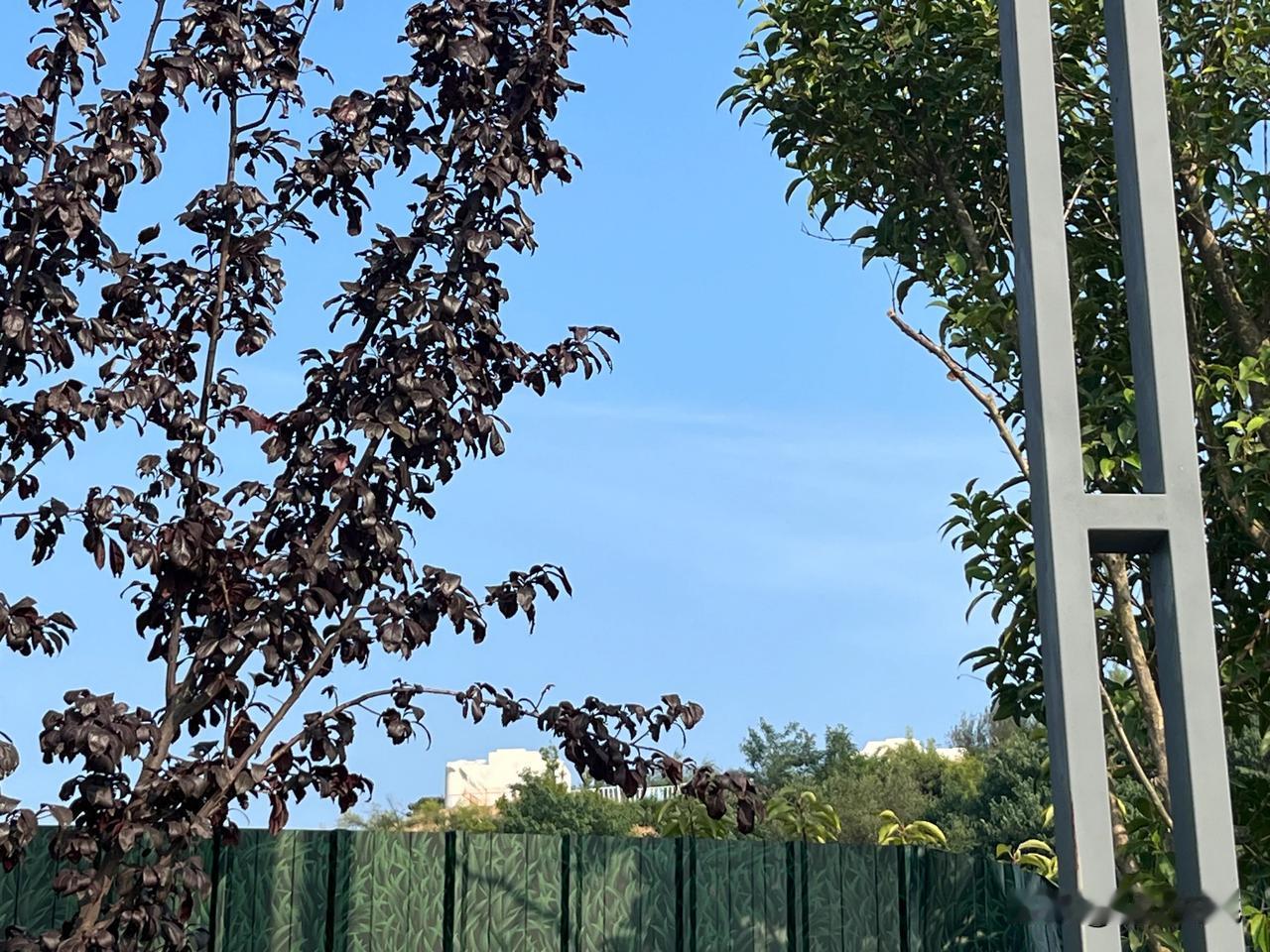  今天去黄河边骑行，到会兴古渡的地方，看到了王官黄河大桥的了，不过只是一对桥墩。