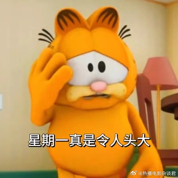 #正式被确诊为加菲猫#小时候的梦想就是变成一只慵懒又可爱的加菲猫，没想到长大后竟