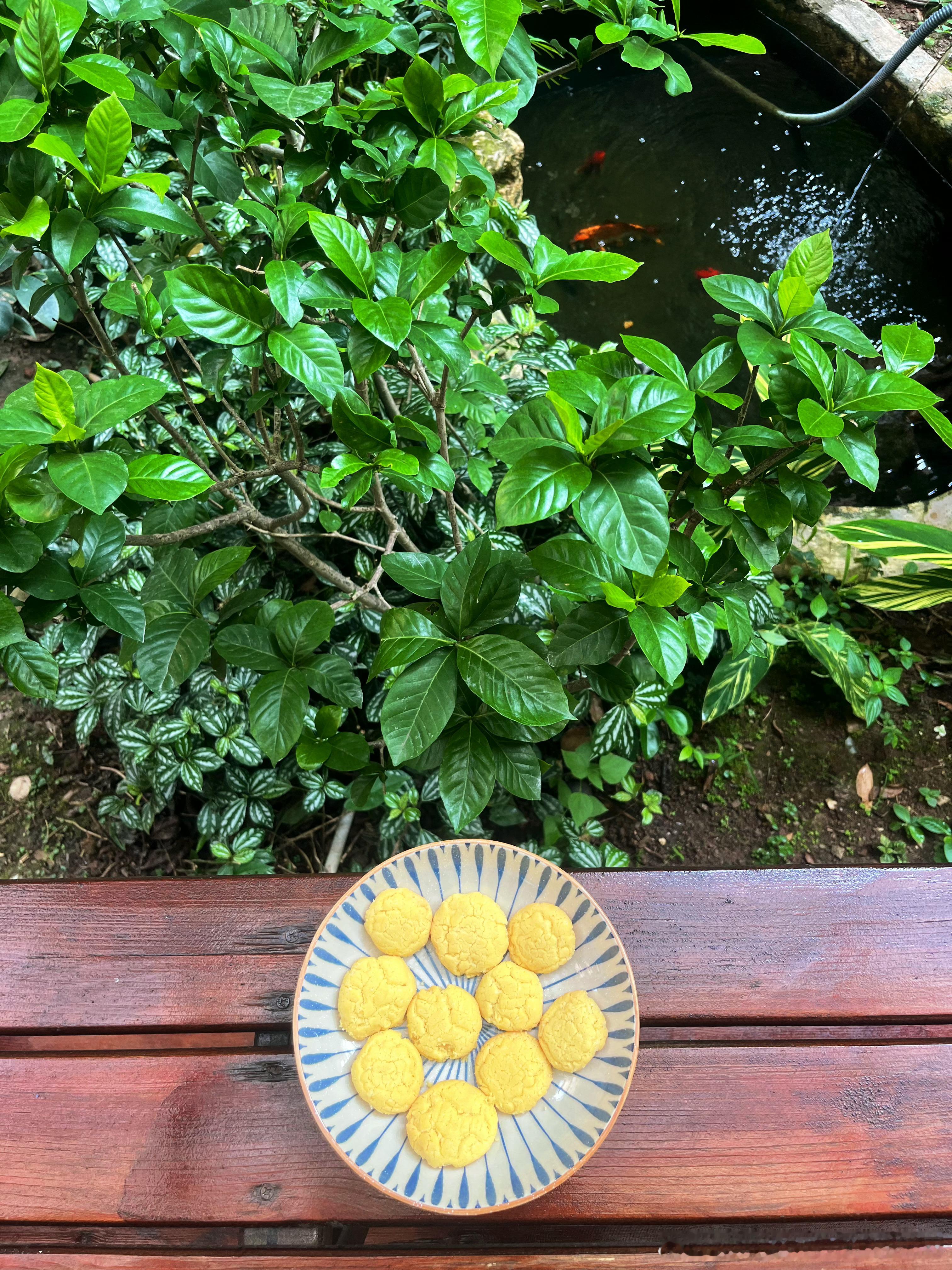娃学会了烤黄油饼干，这东西你不亲自做一下不能想象有多少油。 