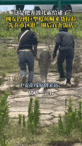 这都是命！江西南昌，一位钓友甩竿本想钓条小鱼，结果手一抖，竟“拔”上来条60多斤