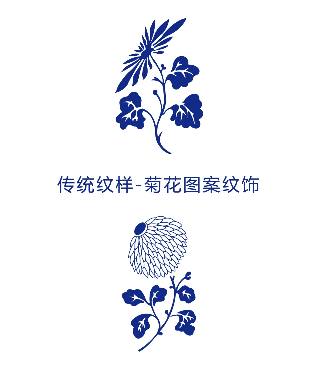 传统纹样菊花图案纹饰