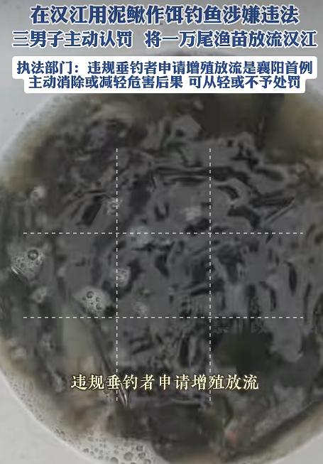 处罚太轻了！湖北襄阳，三名男子在汉江边用泥鳅作饵钓鱼，被渔政巡查逮个正着！三人自