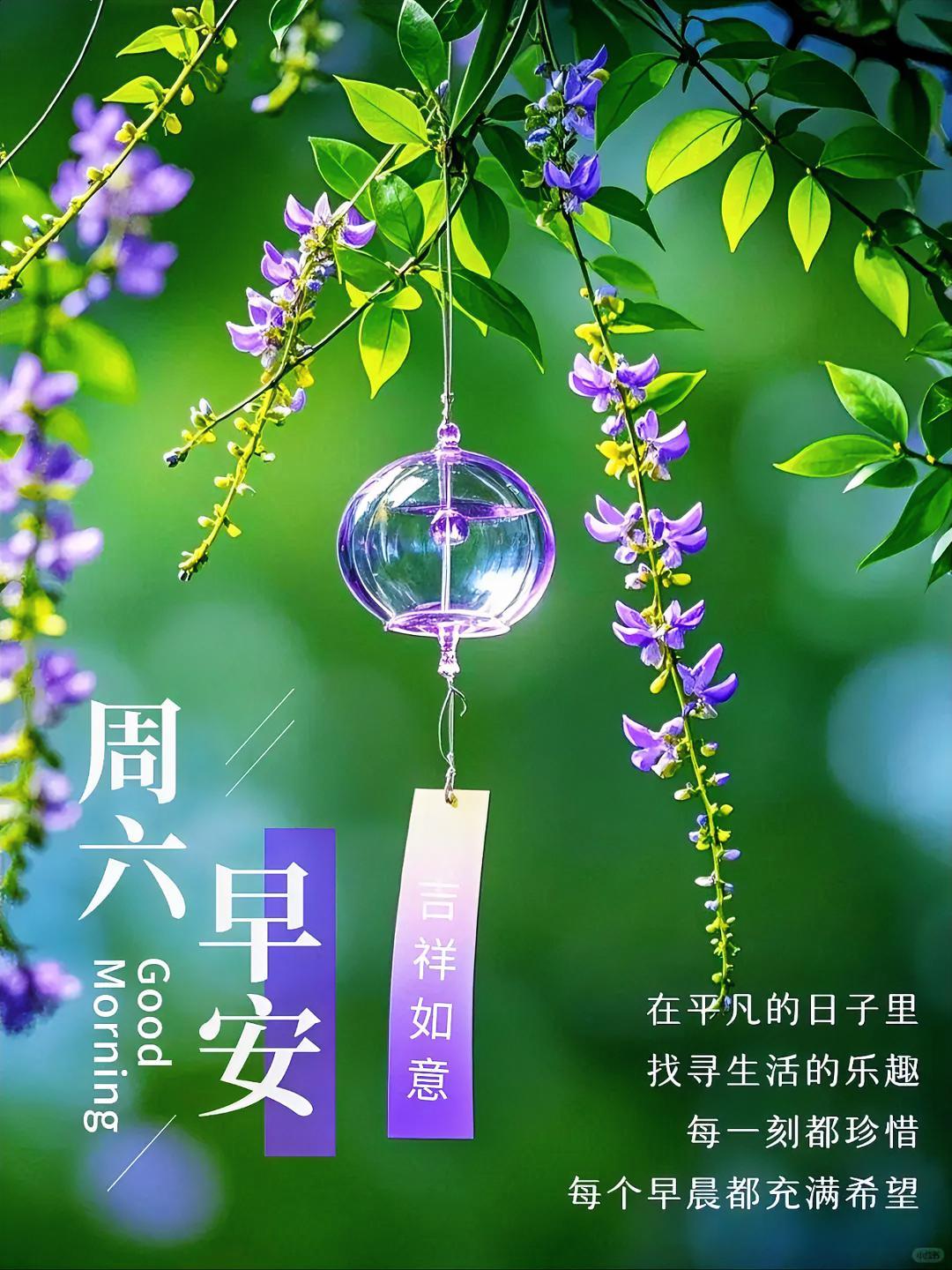 周六早安，紫藤花开，风铃响。在平凡日子里寻觅乐趣，每个早晨都充满希望与欢喜！
早