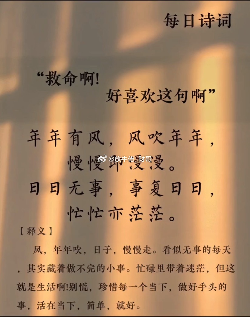 年年有风、风吹年年、慢慢即漫漫。日日无事、事复日日、忙忙亦茫茫。我的日常plog