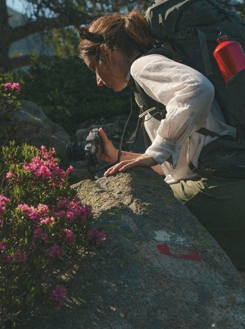 Spending the summer in the mountains⛰️📷