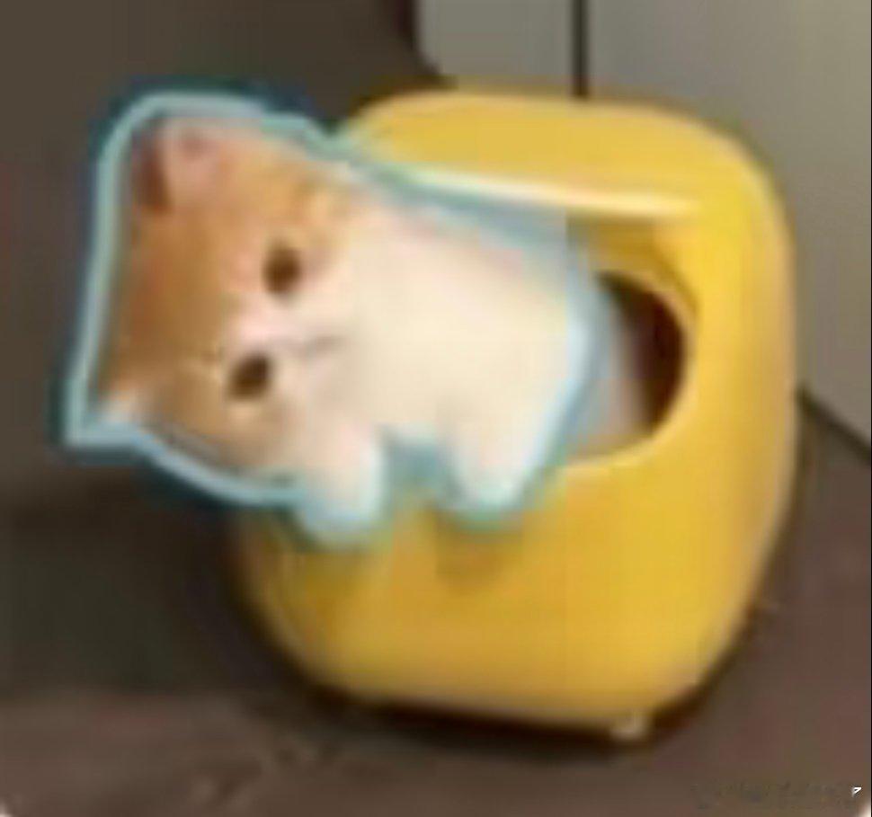 小猫表情包分享。 