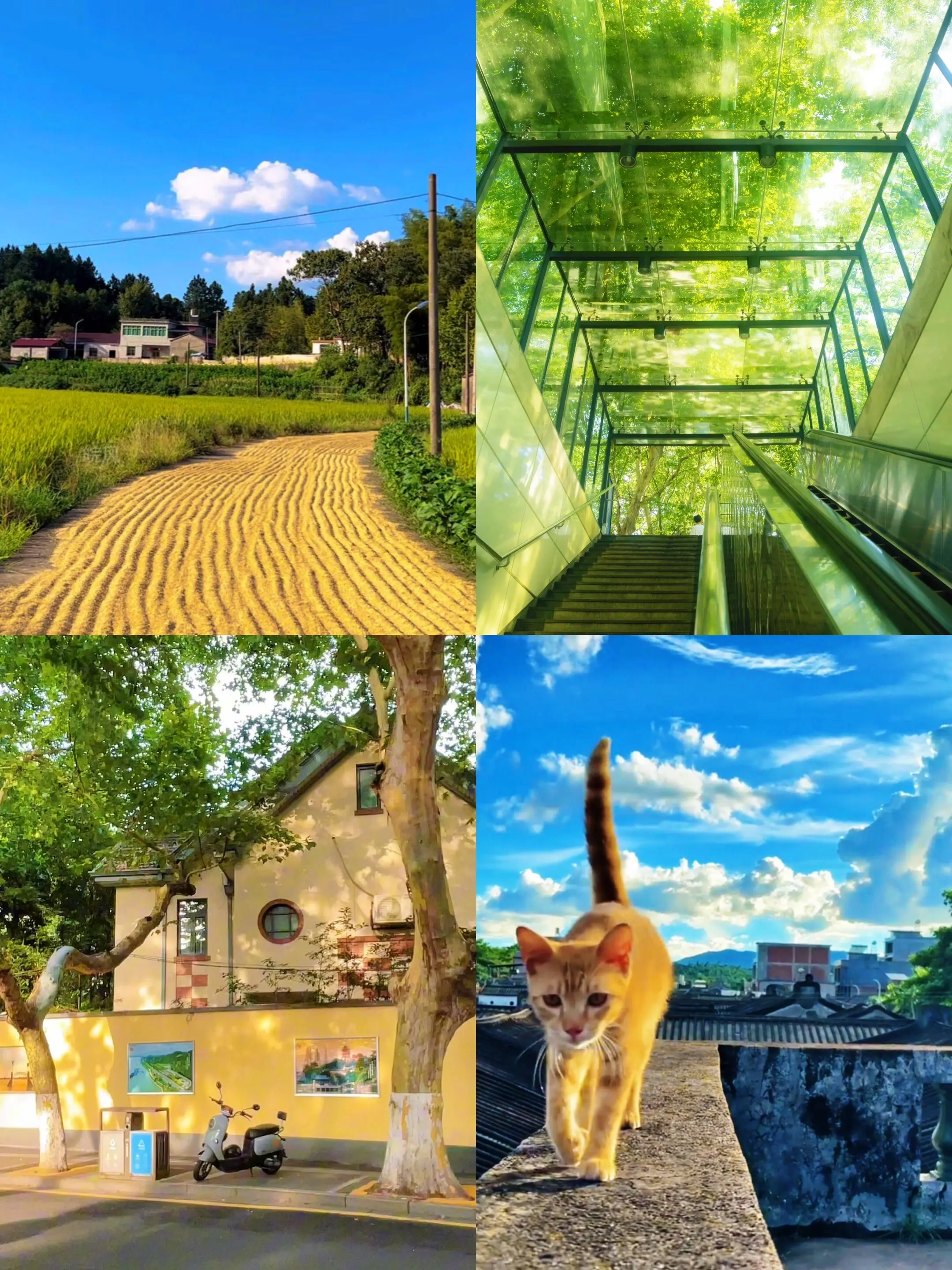 你最想回到哪个夏天！