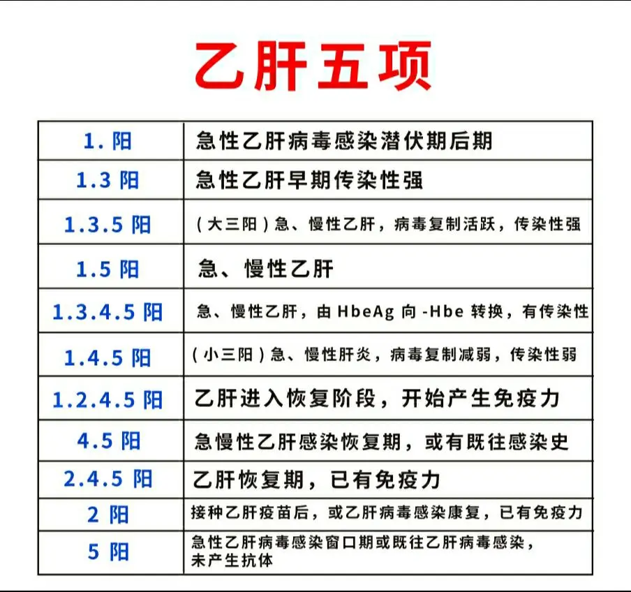 乙肝五项怎么看？①③⑤阳性：大三阳常见于急性期、慢性期有较强的传染性 ...