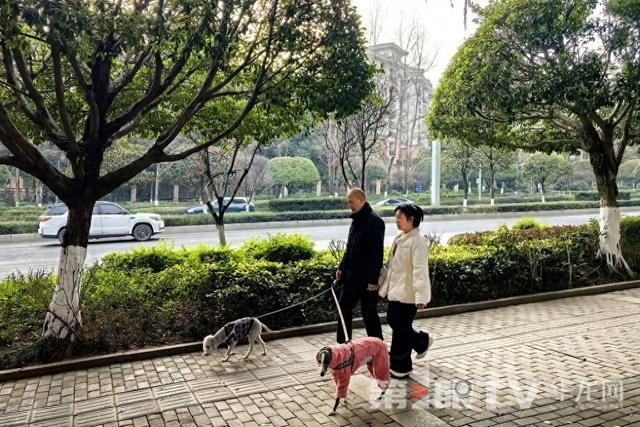 重庆未来三天大部地区阴天到多云最高气温回升至20℃