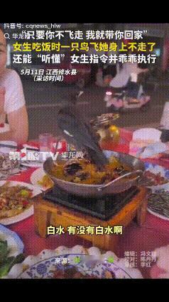 “解释不清了！”江西修水县一女子和朋友一行四人，在路边的一个餐厅吃饭，突然一只鸟