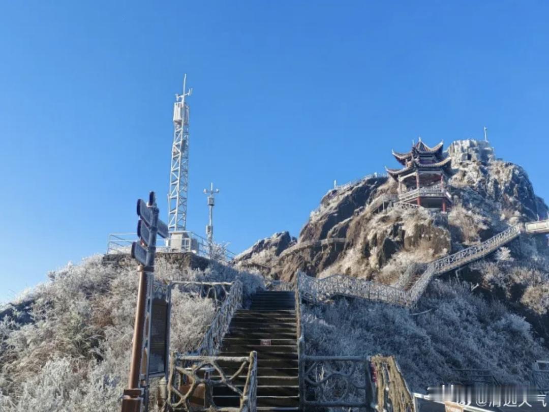 广东惊现-4.8℃，就在清远这里！“冰花”再次盛开！都以为广东不冷，其实广东冷起